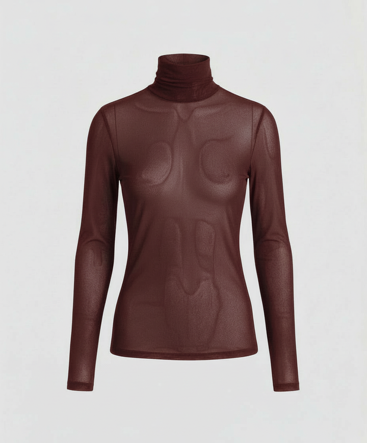 Transparent Turtleneck Blouse Women