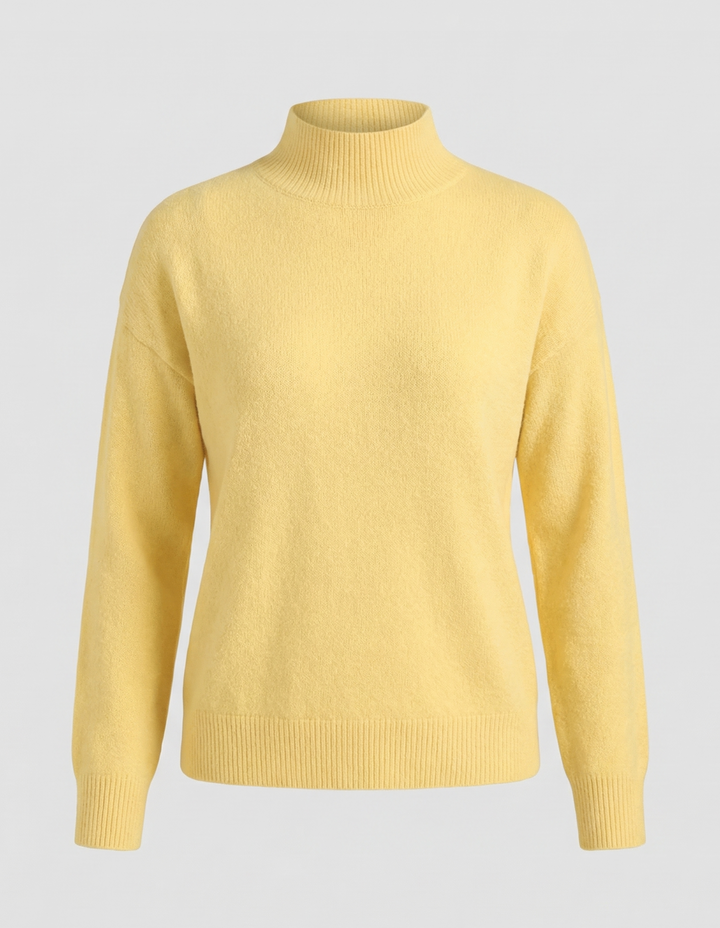 Elegant Turtleneck Sweater Women